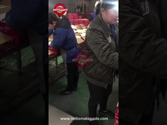 کنترل کيفيت پسته ي گوجه فرنگی کنسرو شده