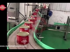 رب گوجه فرنگی ریتومیت با برند اختصاصی 2200 گرمی